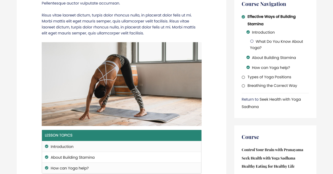 Overview of LearnDash Integration in Astra Theme Astra LearnDash Lesson Topics