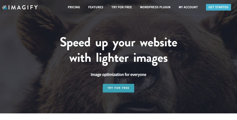 How To Use WebP Images in WordPress: The Complete Step-by-step Guide Imagify homepage
