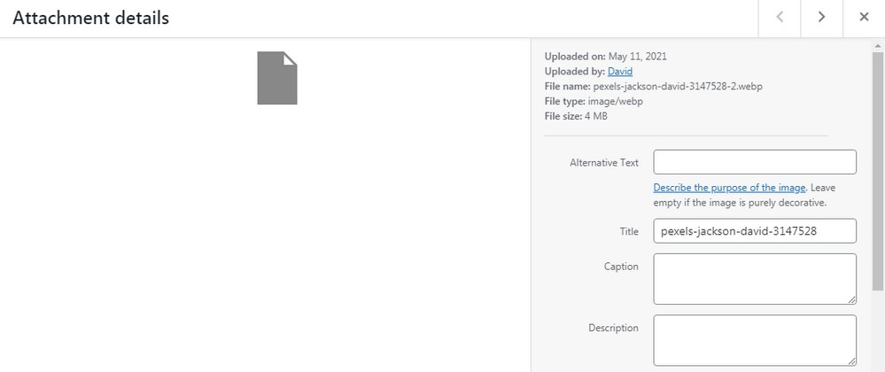 How To Use WebP Images in WordPress: The Complete Step-by-step Guide Uploaded WebP image