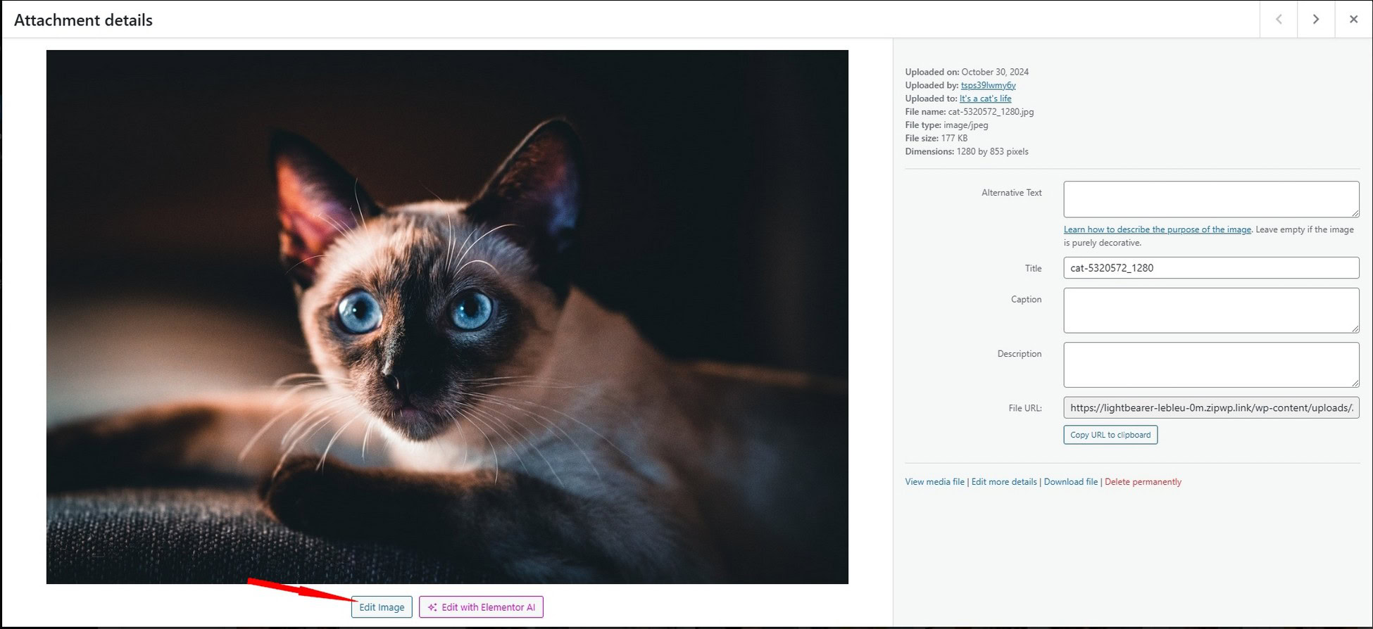 WordPress Featured Image Mastery: Size, Use and Best Practices Resize Old Featured Images
