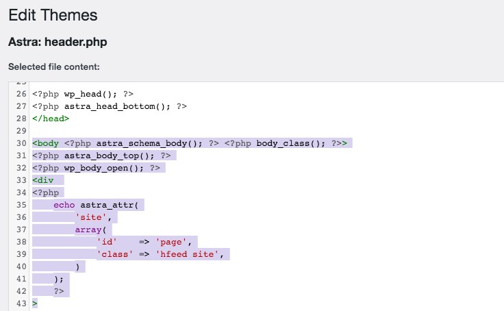 How To Embed Facebook Timelines in WordPress (With and Without Plugin) Astra theme header php file