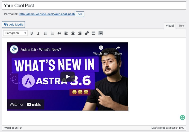 How To Embed Video in WordPress: Complete Beginner’s Guide Inserted video on WordPress classic editor