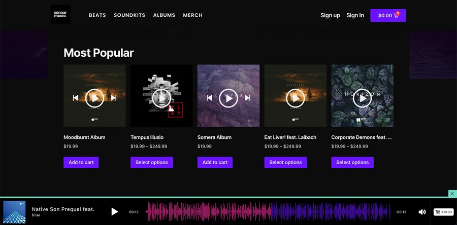 9 Best WordPress Audio Player Plugins for Hosting Music on Your Website Music player by sonar pro skin