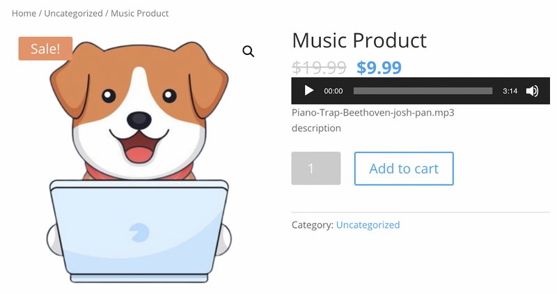 9 Best WordPress Audio Player Plugins for Hosting Music on Your Website Music player for WooCommerce front end results