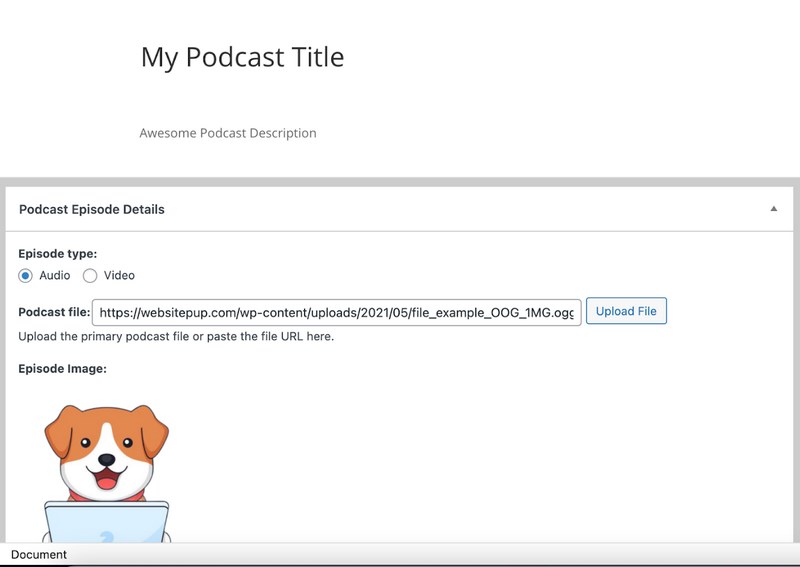 9 Best WordPress Audio Player Plugins for Hosting Music on Your Website Seriously simple podcasting settings
