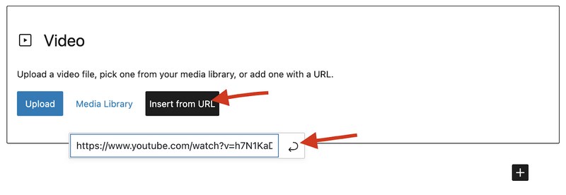 How To Embed Video in WordPress: Complete Beginner’s Guide WordPress insert video from URL