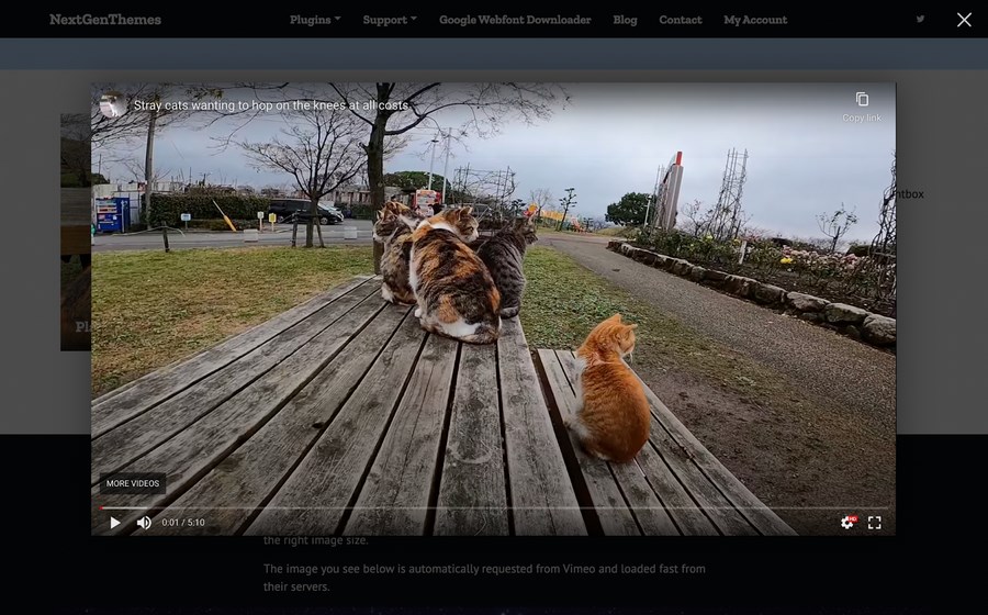 How To Embed Video in WordPress: Complete Beginner’s Guide arve lightbox video