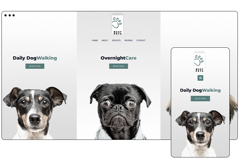 Local Pet Care Business