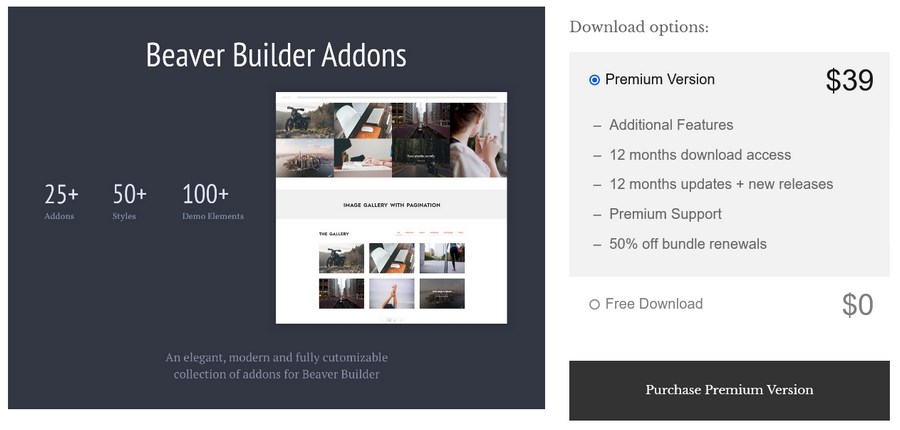 17 Best Beaver Builder Addons (Free Plugins Included) Addons for Beaver Builder Pro Livemesh Themes