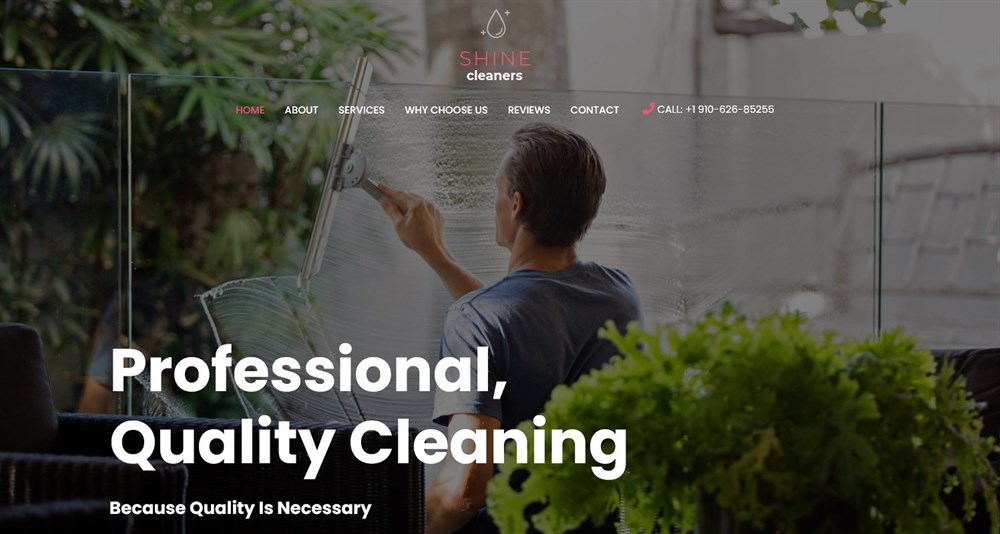 280+ Elementor Templates for Every Niche (Free + Premium) Astra's Cleaning Services demo