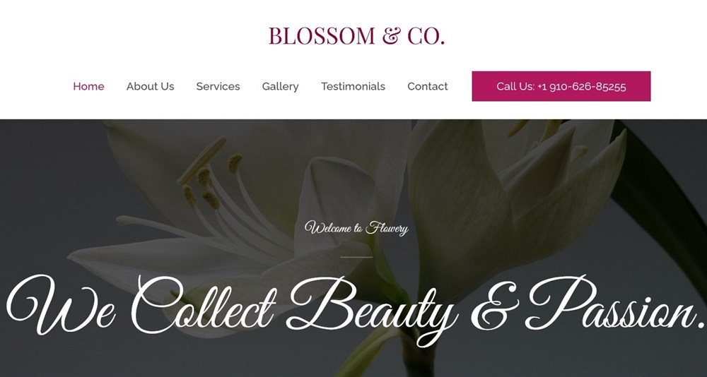 280+ Elementor Templates for Every Niche (Free + Premium) Astra's Florist template