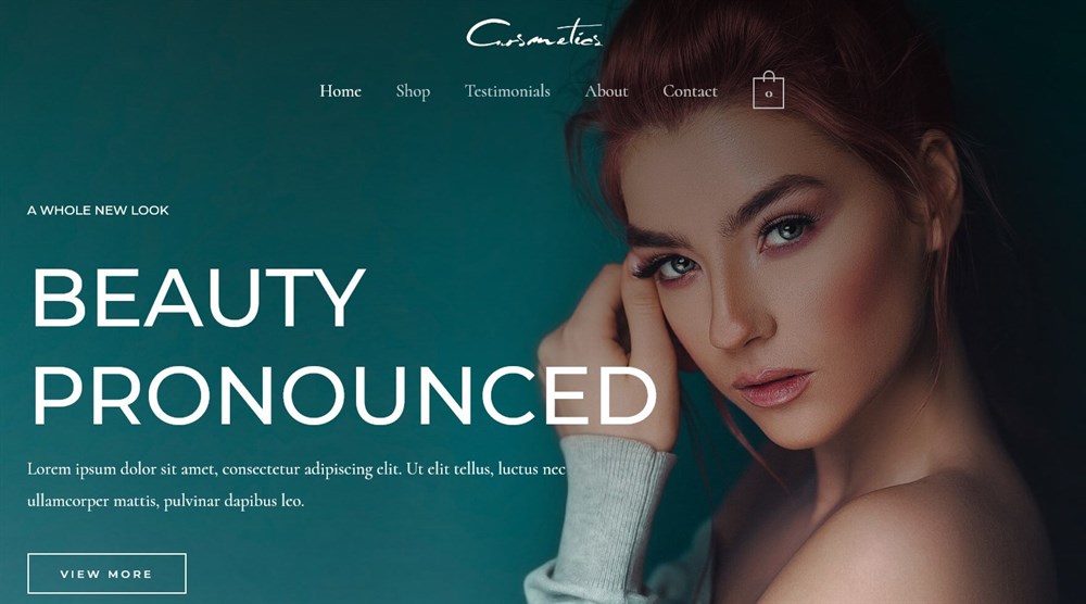 280+ Elementor Templates for Every Niche (Free + Premium) Cosmetics Store Elementor template