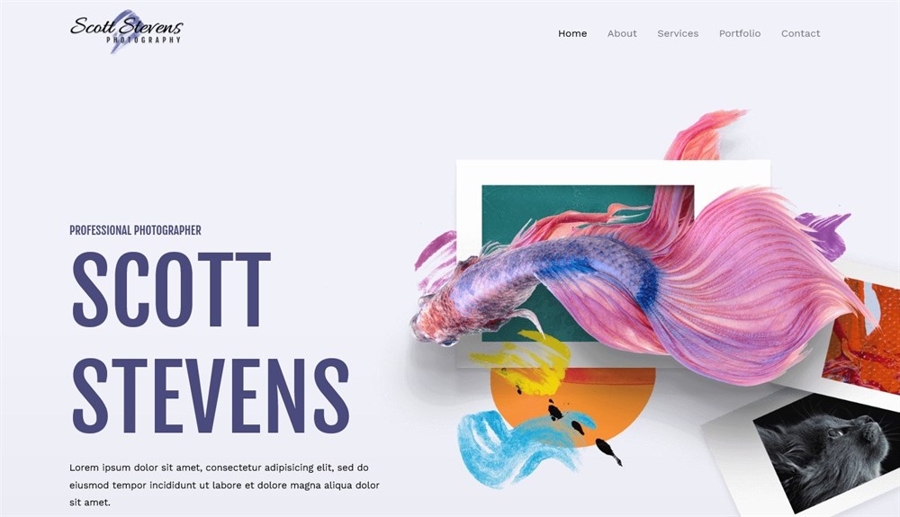 280+ Elementor Templates for Every Niche (Free + Premium) Elementor Photographer template