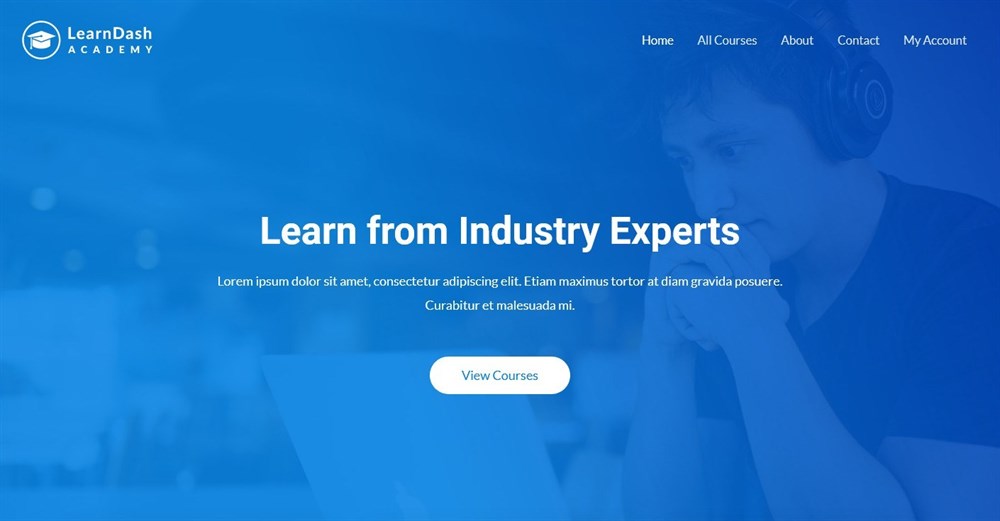 280+ Elementor Templates for Every Niche (Free + Premium) LearnDash Academy Template Demo