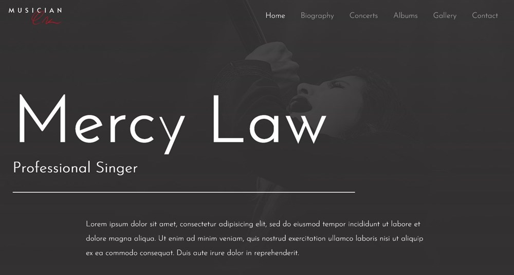 280+ Elementor Templates for Every Niche (Free + Premium) Musician demo