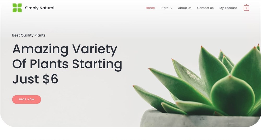 280+ Elementor Templates for Every Niche (Free + Premium) Simply Natural Elementor WooCommerce template
