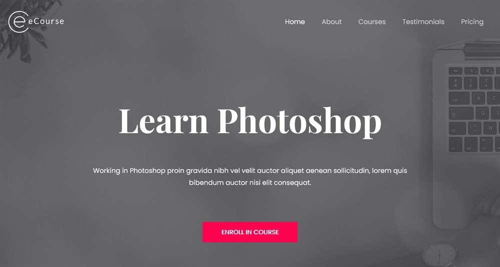 280+ Elementor Templates for Every Niche (Free + Premium) eCourse Learn Photoshop demo site