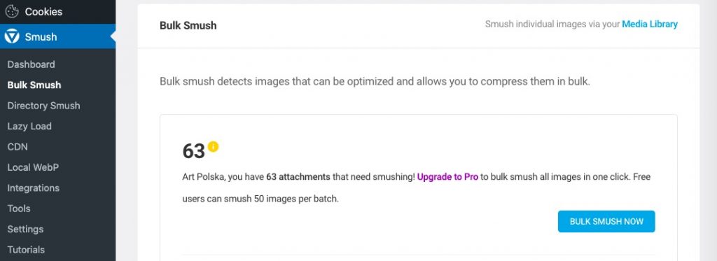 JPEG vs. JPG: What’s the Difference? Bulk smush details
