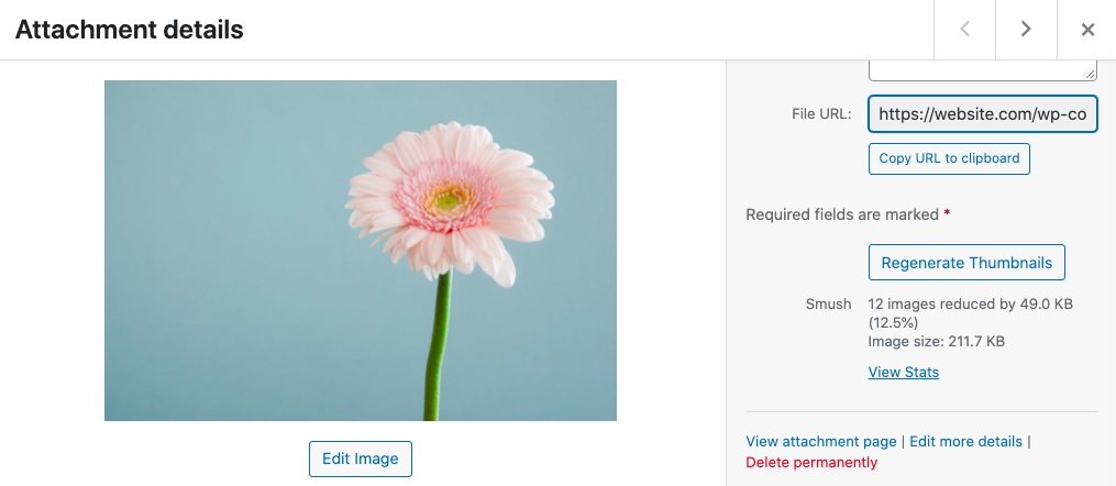JPEG vs. JPG: What’s the Difference? Image size after compression