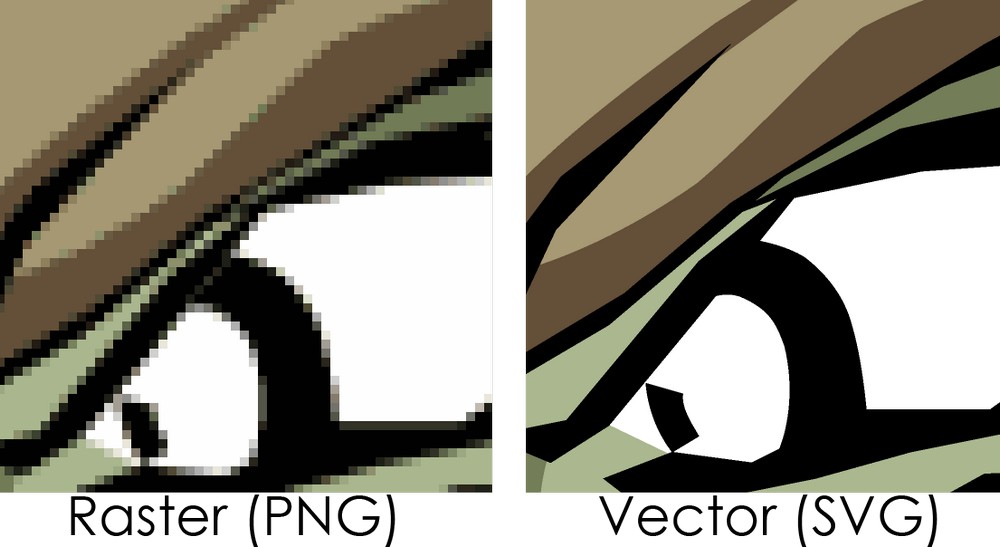 JPEG vs. JPG: What’s the Difference? Raster vs vector image