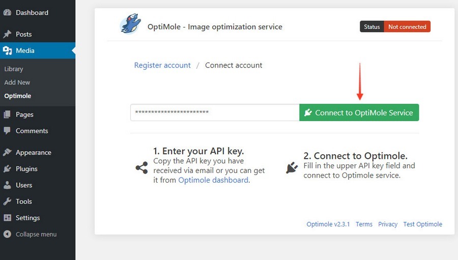 WordPress Speed Optimization: How To Speed Up Your WordPress Website: 28 Ways Connect to optimole service