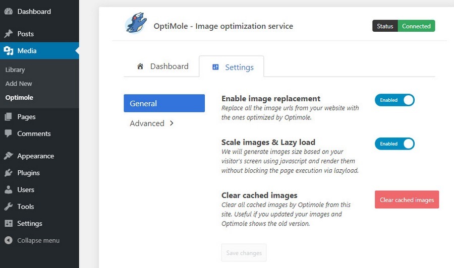 WordPress Speed Optimization: How To Speed Up Your WordPress Website: 28 Ways Optimole setting 2