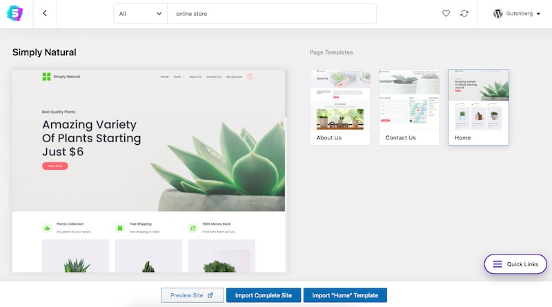 How To Create an Online Marketplace With WordPress - Ultimate Guide Import Starter Template