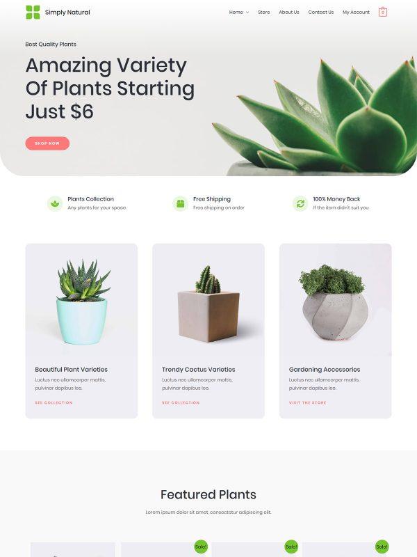 How To Create an Online Marketplace With WordPress - Ultimate Guide Simply Natural Starter Template