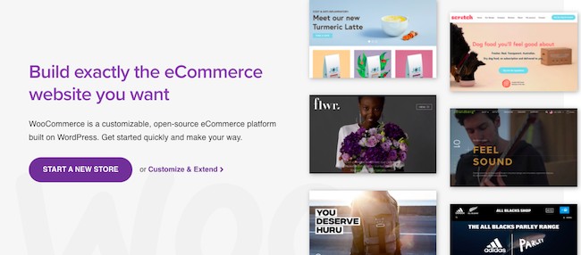 How To Create an Online Marketplace With WordPress - Ultimate Guide WooCommerce WordPress Plugin