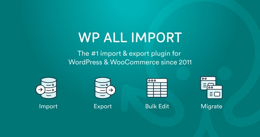How To Bulk Edit WooCommerce Products – Step by Step Guide WP All import WordPress plugin