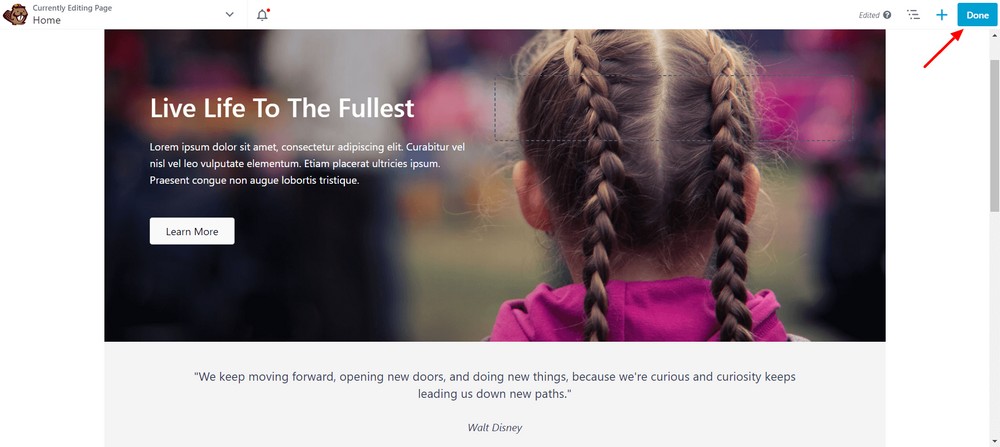 How To Create a Landing Page in WordPress (3 Methods) hit the Publish