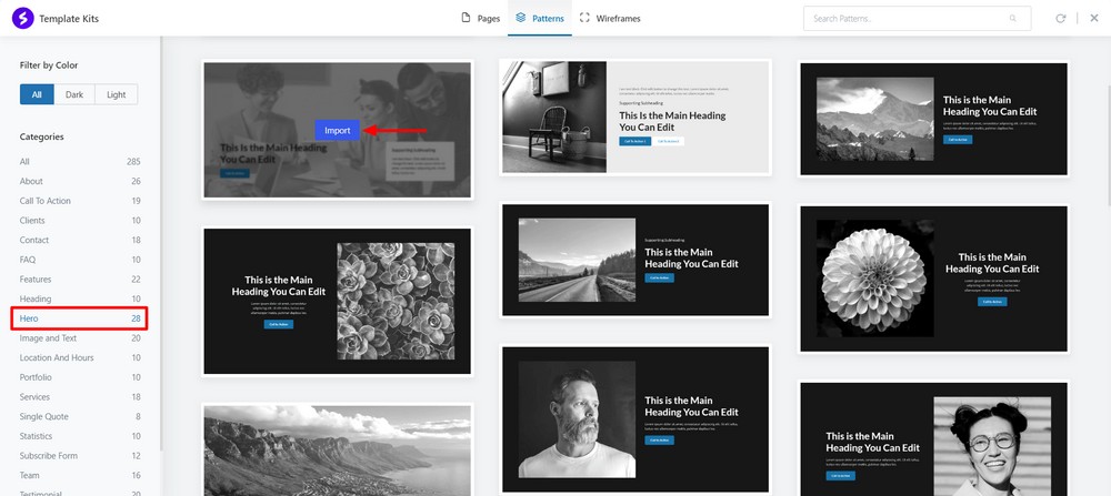 How To Create a Landing Page in WordPress (3 Methods) Import hero template