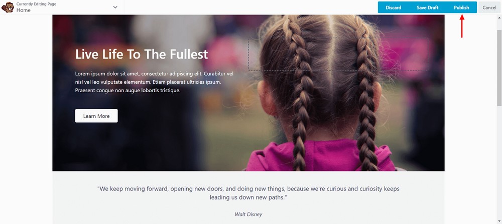 How To Create a Landing Page in WordPress (3 Methods) Publish the page
