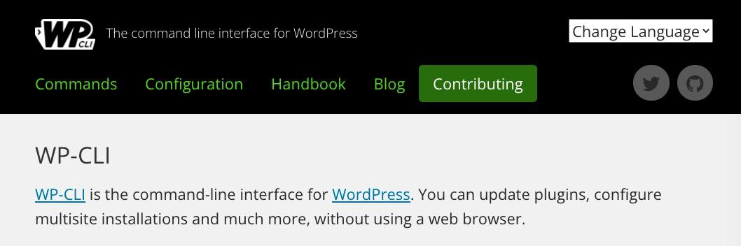 How To Delete a Theme in WordPress – 4 Easy Methods to Delete or Uninstall WP Cli