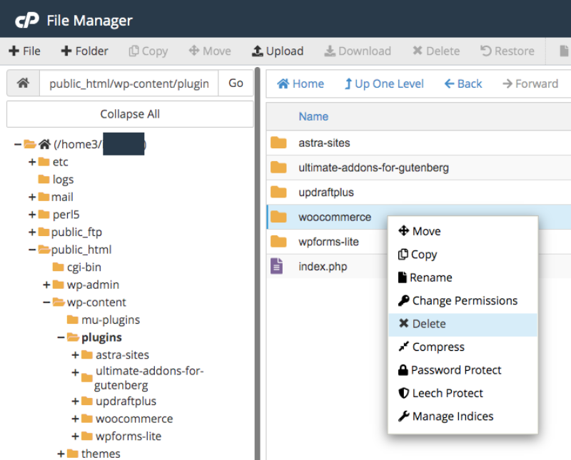 How To Uninstall WordPress Plugins the Right Way – Complete Guide Accessing WordPress plugins from File Manager