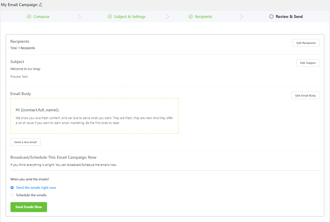 WordPress Email Marketing: In-Depth Tutorial, Useful Plugins and Automations Email campaign final review