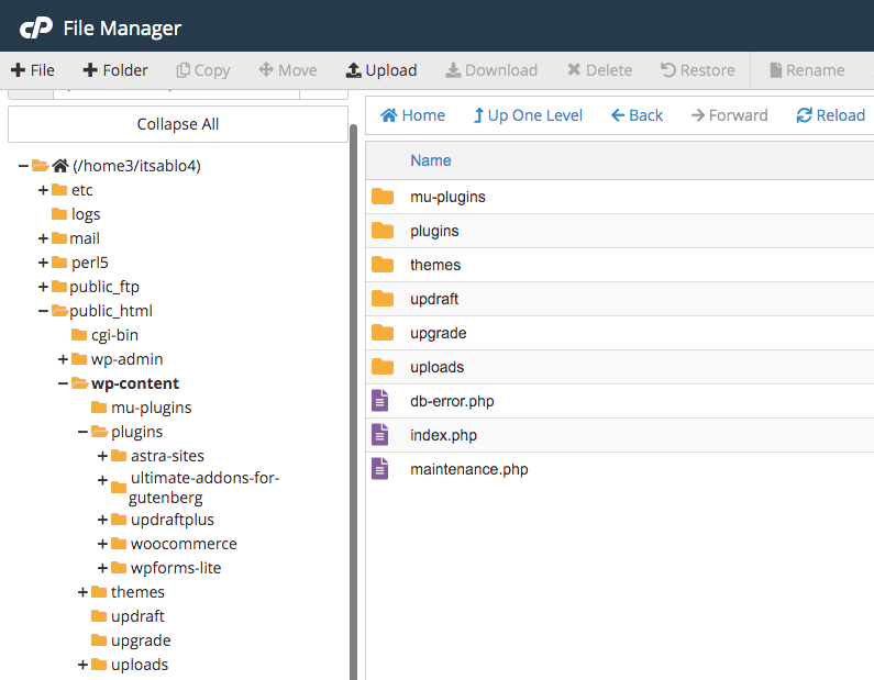 How To Uninstall WordPress Plugins the Right Way – Complete Guide Plugins list in the File Manager