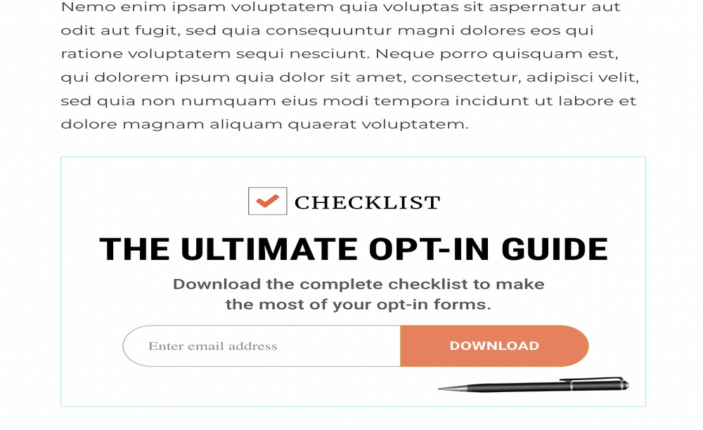 WordPress Newsletters: 9 Effective Plugins + How To Guide Optin Form example