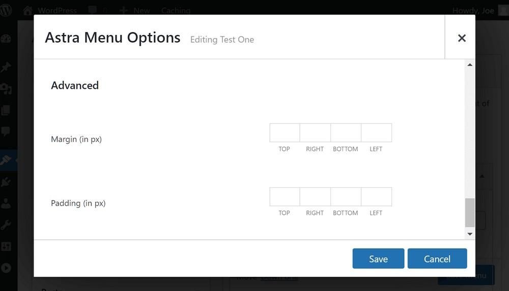 How To Create Mega Menu in WordPress – Mega Menus Made Easy! Mega menu advanced settings