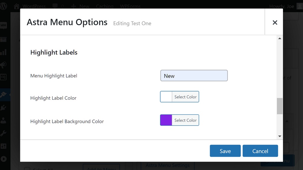 How To Create Mega Menu in WordPress – Mega Menus Made Easy! Mega menu label settings