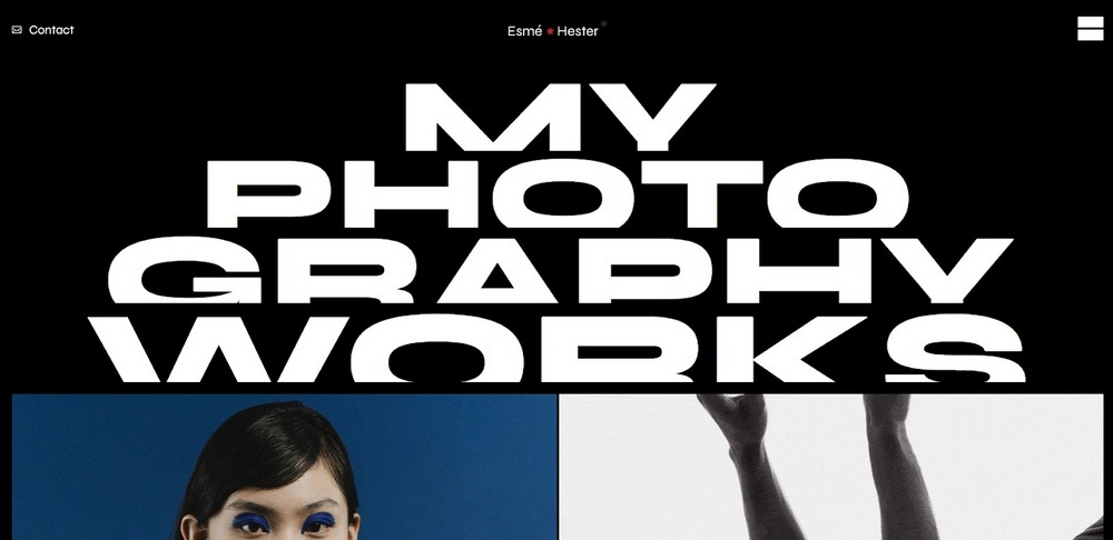 37 of the Best WordPress Themes for Artists - Free and Paid Options qi theme