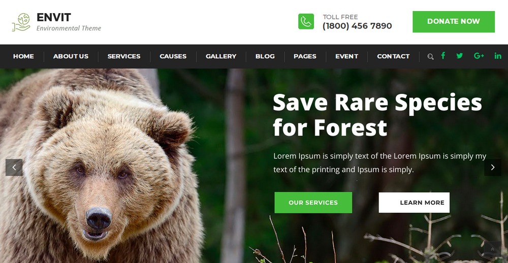 The Best 28 WordPress Nature Themes for Lovers of the Outdoors Envit WordPress Theme