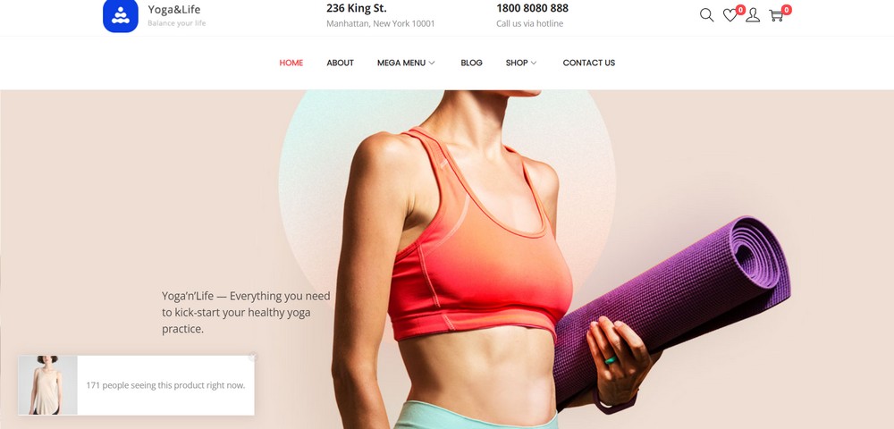 40 Best Free WordPress eCommerce Themes – Online Stores Made Easy! Woostify theme for WordPress