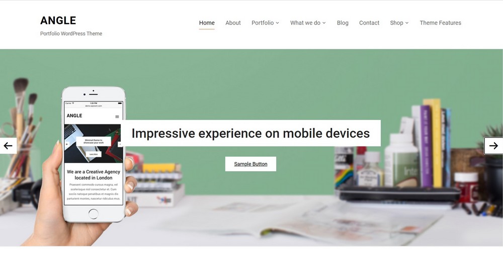 26 Best Bookstore WordPress Themes for Selling Books Angle WordPress books theme