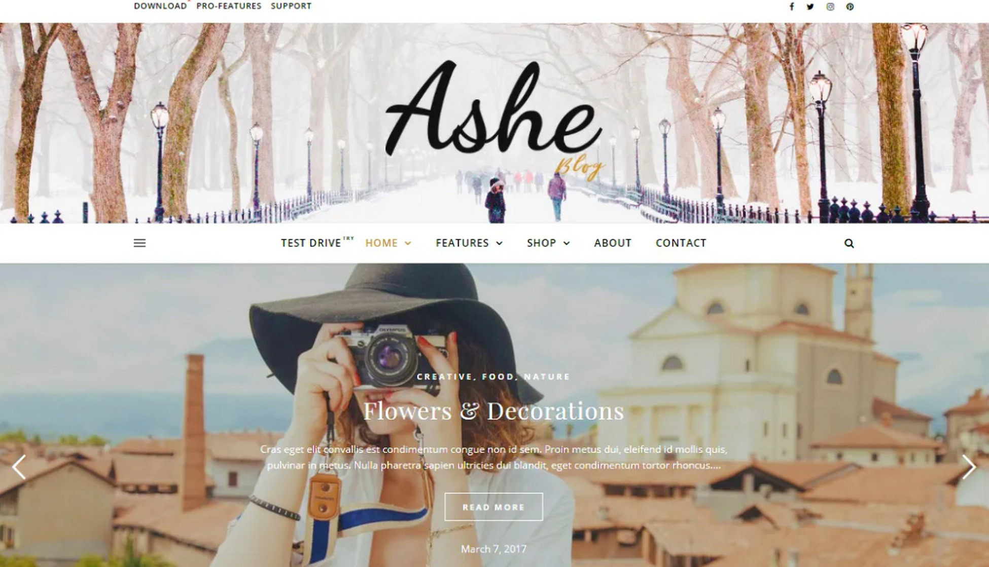 Elevate Your Brand: 28 Proven Digital Agency WordPress Themes ashe theme template