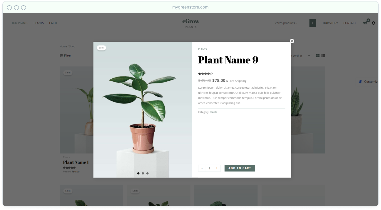 Introducing Astra 3.9: Create the Ultimate Shopping Experience Astra 3.9 product popup