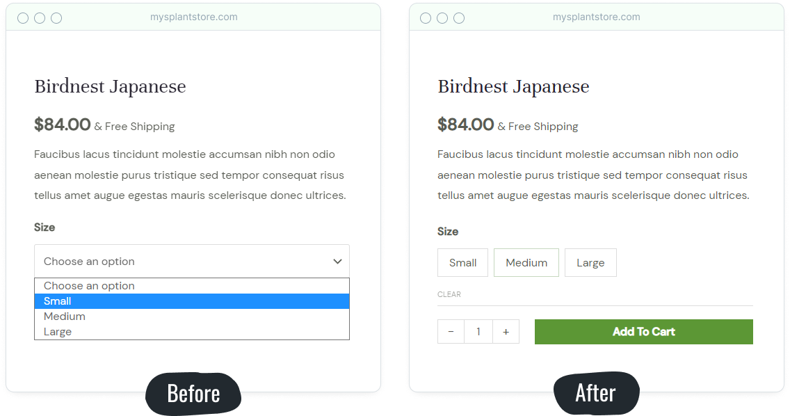Introducing Astra 3.9: Create the Ultimate Shopping Experience Astra product variations update