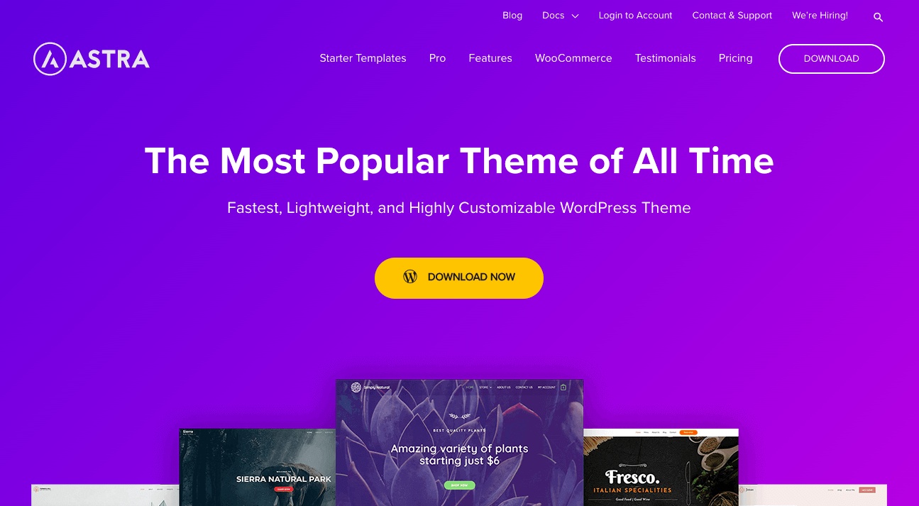 Say hello to speed with the best of Astra and Cloudways partnership Astra WordPress theme