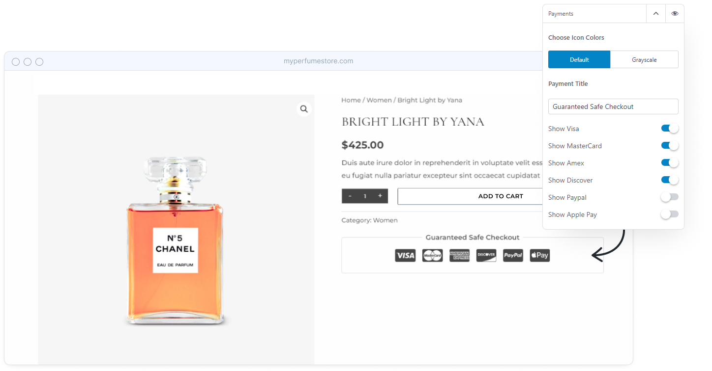 Introducing Astra 3.9: Create the Ultimate Shopping Experience Astra's payment icons for product page