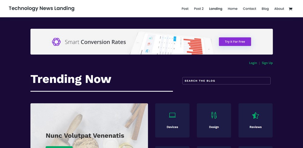 15 of the Best WordPress Newsletter Themes (Most Are Free) Divi newsletter website demo template